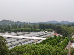 -北戴河集发农业梦想王国
