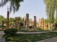 -石家庄市植物园