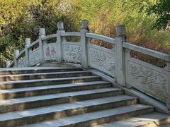 -小洲村