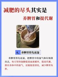 -Fundi张玉珊修身堂·indiba·BTL科技瘦身