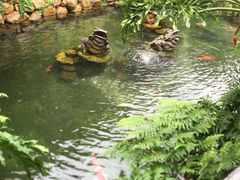 -国恩寺