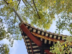 -顺峰山公园