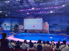 -华夏文旅海洋公园