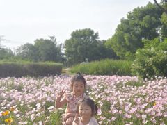 -九里河湿地公园