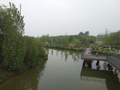 -白鹭湾湿地公园