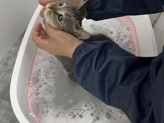 -宠颐生宠物医院·犬猫全科·皮肤科(商业街店)
