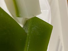 -椰小调.儋州米烂(名门店)