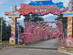 -北京凤凰岭