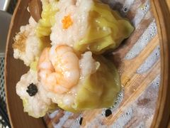 -新兴·金羊座·粤菜点心(乐峰店)
