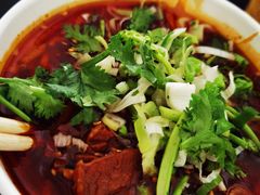 红油牛肉粉-薛记襄阳香辣牛肉面(平安路店)