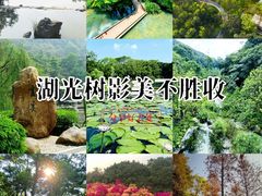 -云溪植物园