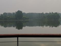 -东郊湿地公园