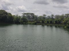 -王借岗森林公园