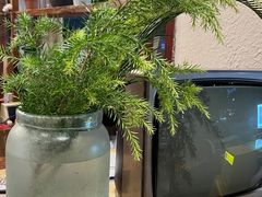 -炊烟·山房菜
