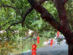 -侨美·唐荔园·40年地道粤菜