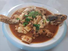 -煲来饱去冷水鱼