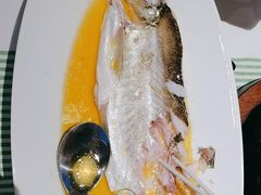 -桂满陇(虹桥天地店)