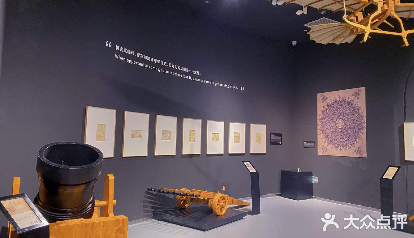 致敬达芬奇🔥｜达芬奇杭州展[礼花]