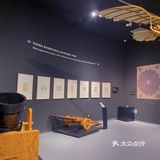 致敬达芬奇🔥｜达芬奇杭州展[礼花]