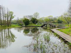 -西溪国家湿地公园