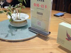 -黄山老妈·土菜(碧桂园店)