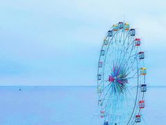 -上海棕榈滩海景酒店