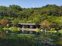 -云溪植物园