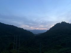 -杨家堂村