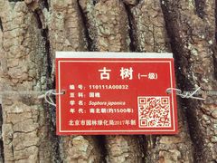 -北京上方山国家森林公园