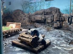 -济南野生动物世界