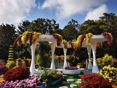 -上海共青森林公园