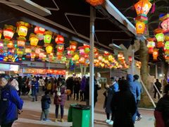 -锦江乐园舞狸花花游园会(夜场专享)