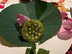 -叶叶菩提(太原别墅店)