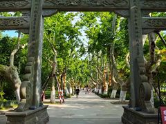 -杭州黄龙洞