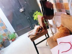 -羽·摄影工作室·外拍·跟拍·活动会议视频