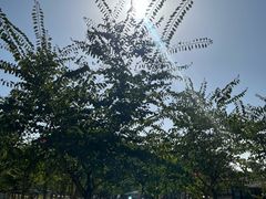 -黄龙溪欢乐田园