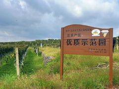 -泰生小镇旅游景区