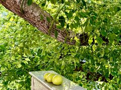 -湖北美术学院(昙华林校区)