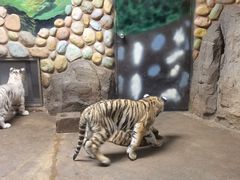 -上海野生动物园