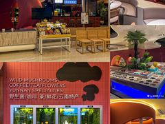 -芸山季·云南野生菌火锅(宝能环球汇店)