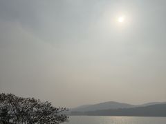 -水上明月·湖景餐厅