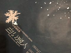 -关西国际机场直营免税店