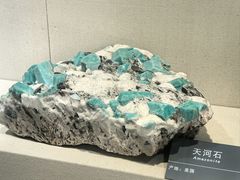 -安徽省地质博物馆