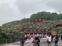 -枇杷园食为鲜火锅(南山店)