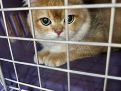 -美联众合动物医院·24h转诊中心
