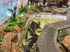 -春盛渔府(牛首山店)