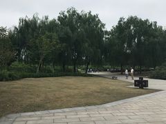 -九里河湿地公园