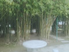 -武昌江滩
