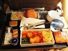-新加坡航空公司(ION)