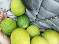 -驿舍·民國老营房院子私房菜(科学会堂店)